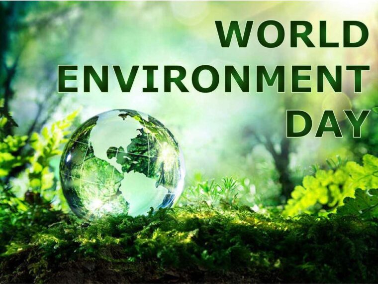 World Environment Day: Environmental Agency Alerts Ekiti Residents on ...